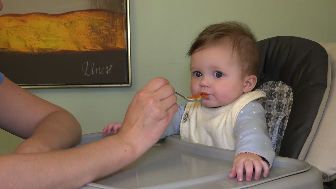 Adult hand holds a spoon of orange food near an infant in a high chair.