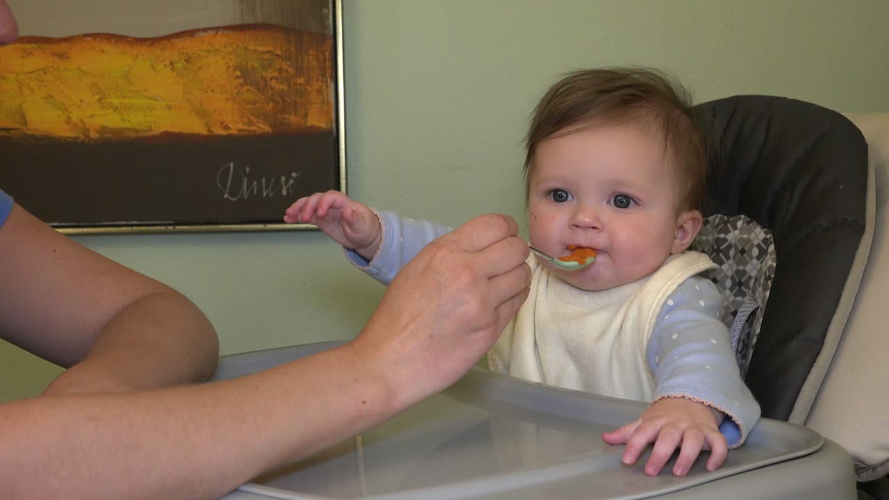 In Westminster, Colorado, the infant reaches toward the side while the adult holds a spoon of orange food at the child's mouth in the high chair.