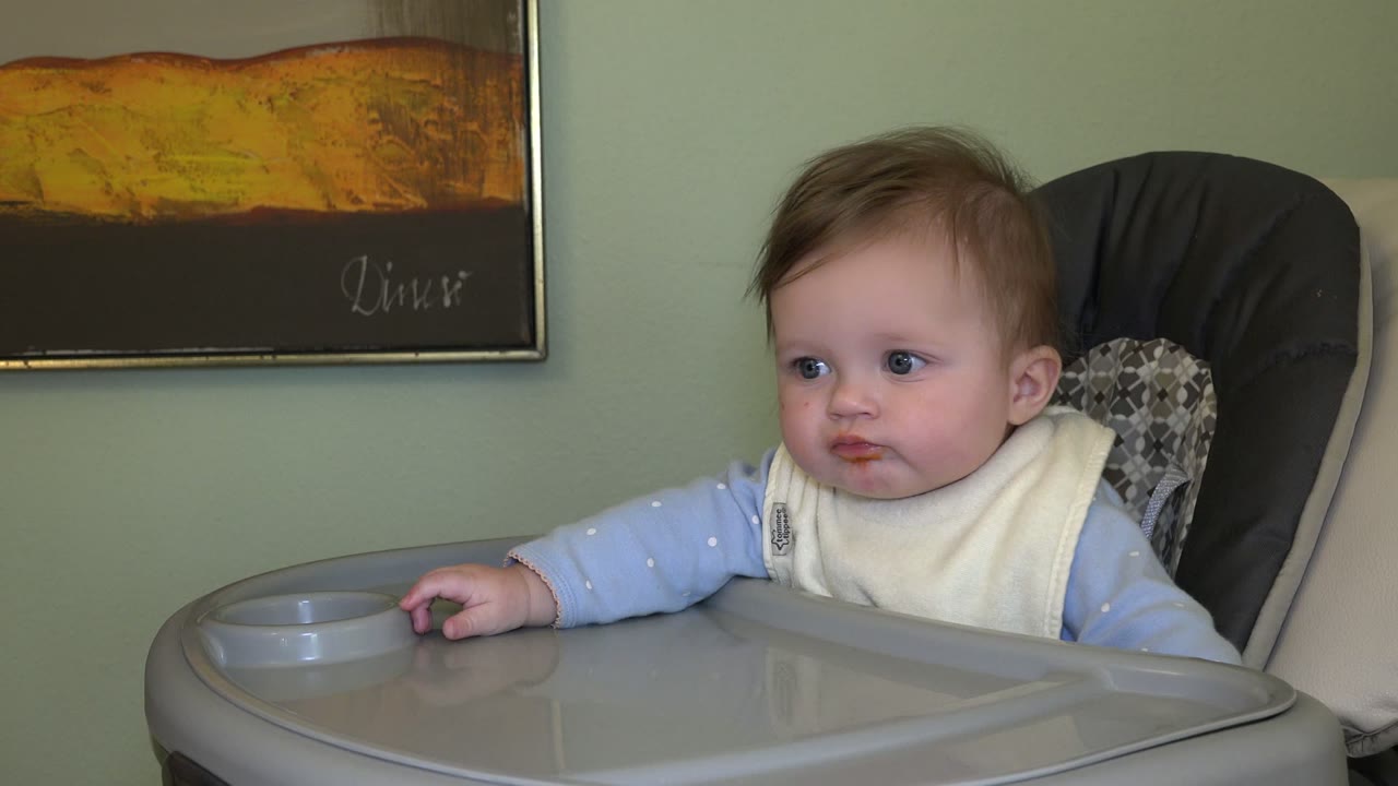 A baby in a highchair in Westminster, Colorado looks left across a gray tray, with a pale bib, blue shirt, green wall, and framed wall art behind them.