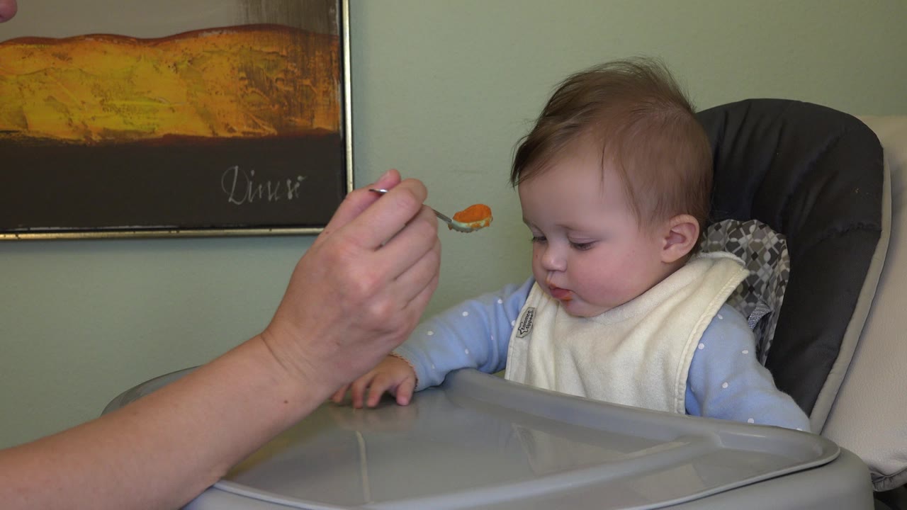 At 0:00 in Westminster, Colorado, a baby in a high chair looks toward the tray while an adult hand holds a spoon with orange puree in front of a green wall and framed art.