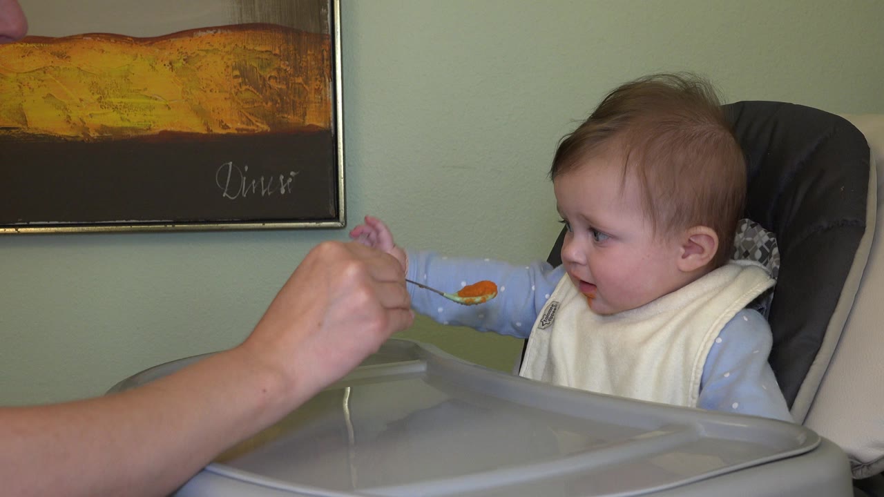 In Westminster, Colorado home footage, a baby in a high chair reaches toward an adult hand holding a spoon with orange food near the tray.