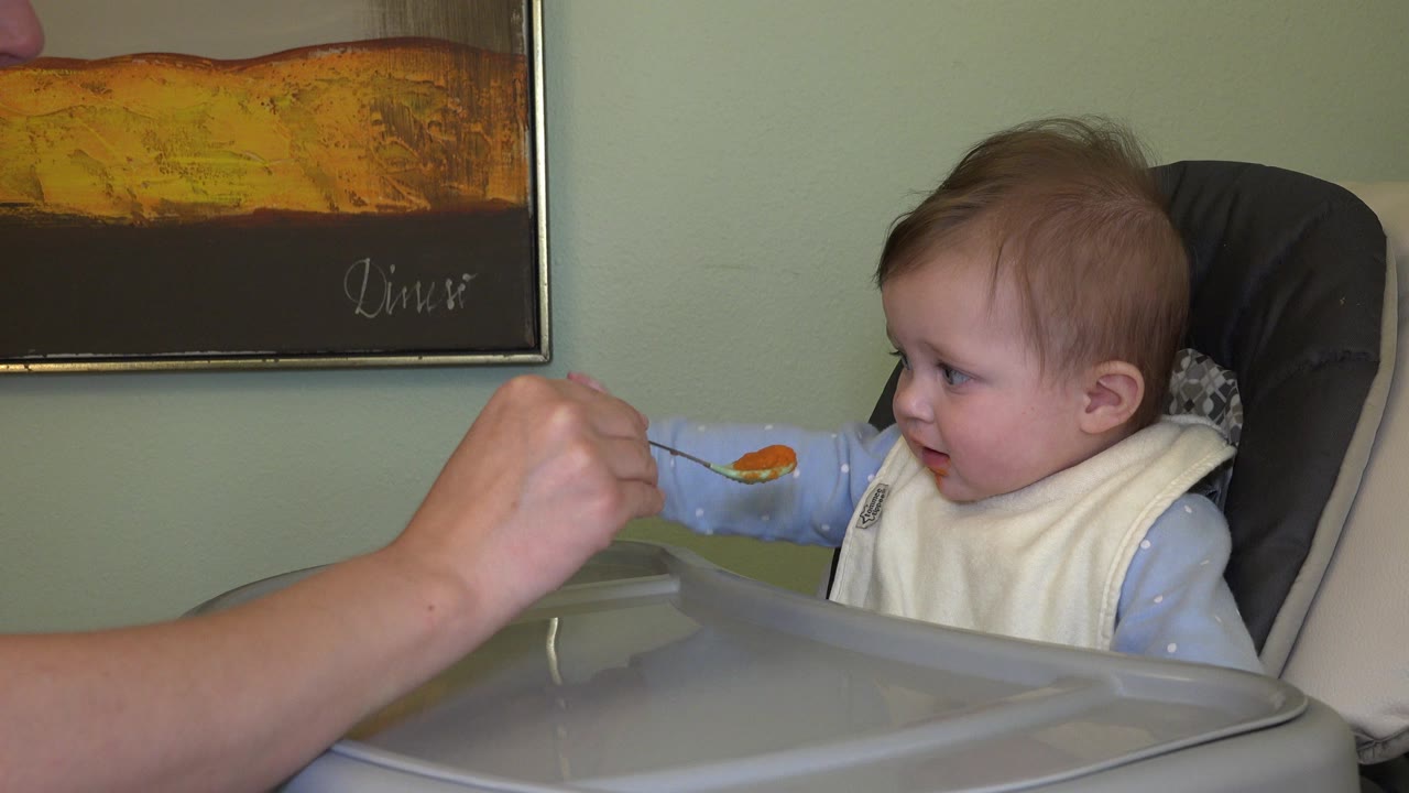 The baby turns slightly toward the adult hand as a spoon with orange food is held just above the high chair tray in the Westminster interior.