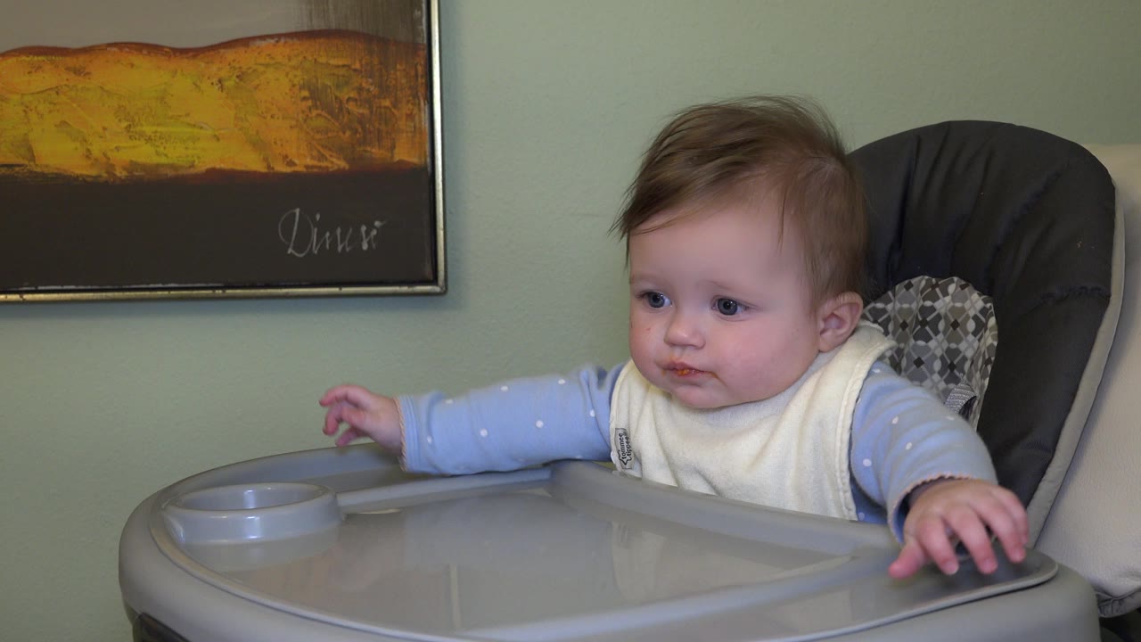 The baby remains seated in the high chair in Westminster, Colorado, looking toward the left side of the tray with the wall art still visible.