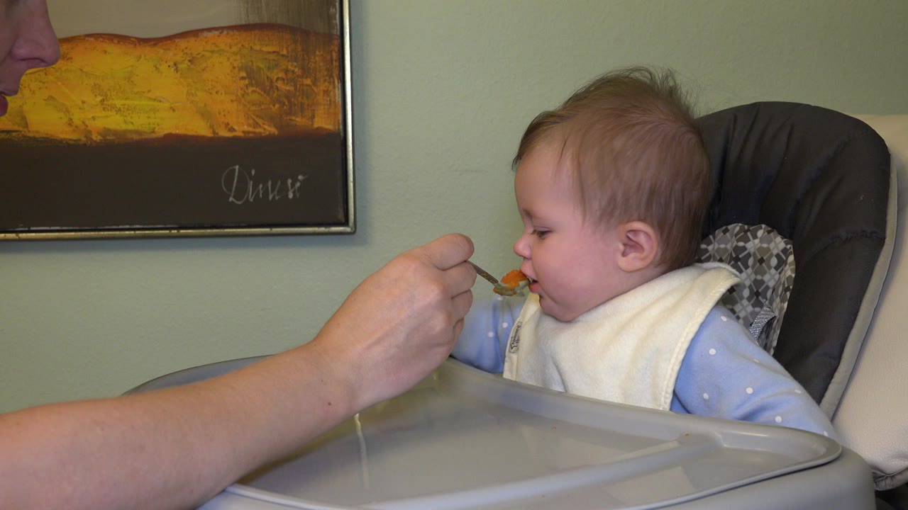 Toddler in a high chair being offered food on a spoon.