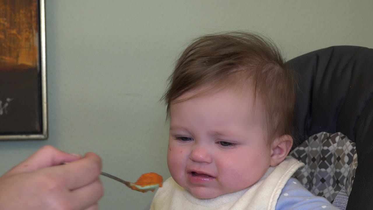 An adult hand holds a spoon with orange food near the toddler's face in the Westminster, Colorado home interior.