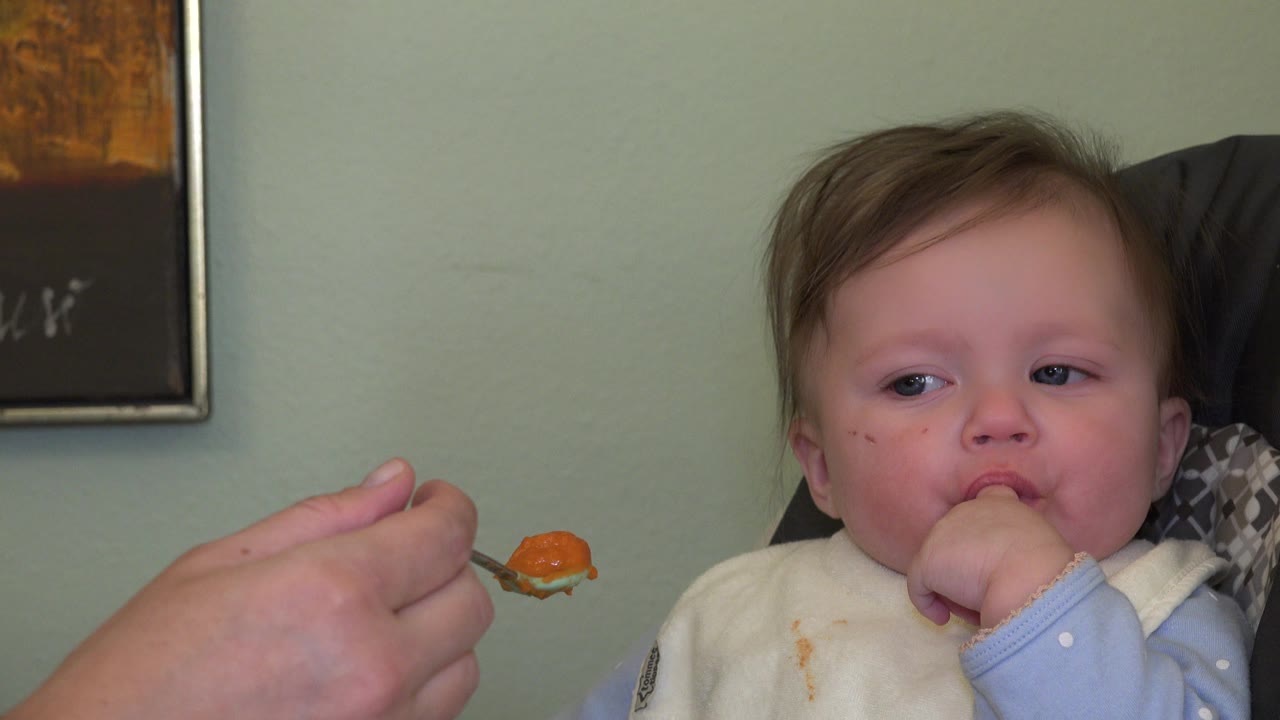 In Westminster, Colorado, an adult hand offers orange food on a spoon to an infant in a high chair, with a pale green wall and framed wall art behind.
