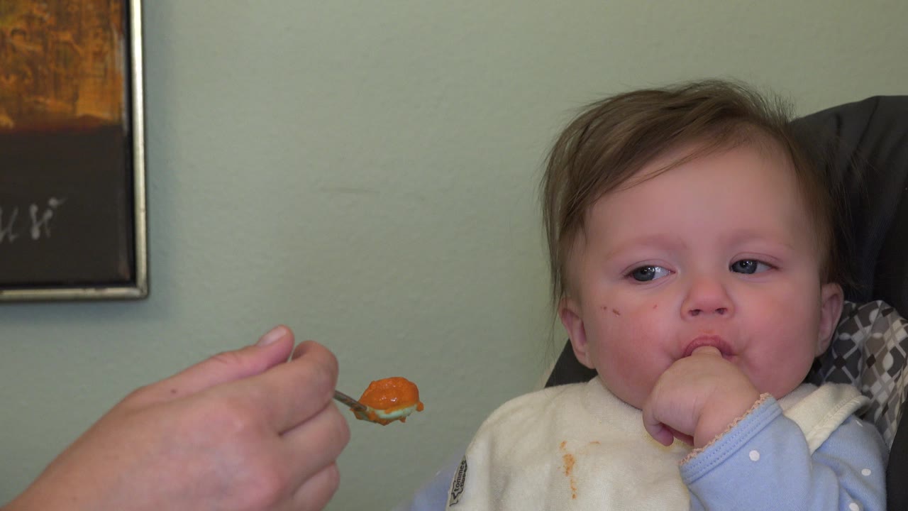 In Westminster, Colorado, the infant faces the camera with fingers near their mouth as an adult hand holds a spoonful of food at the left edge.