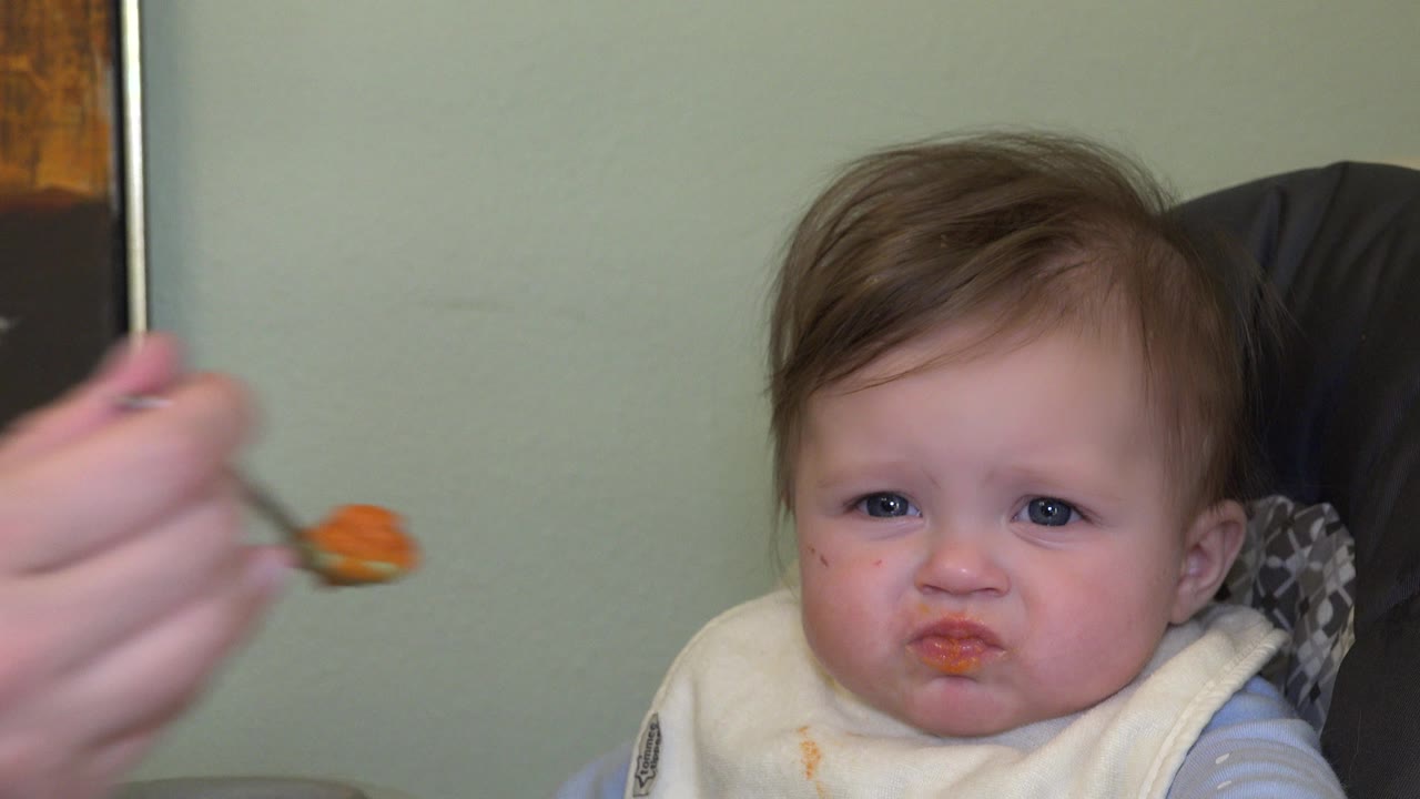 In Westminster, Colorado, the toddler faces forward from the high chair as an adult hand holds a spoon with orange food near the left side of the frame.