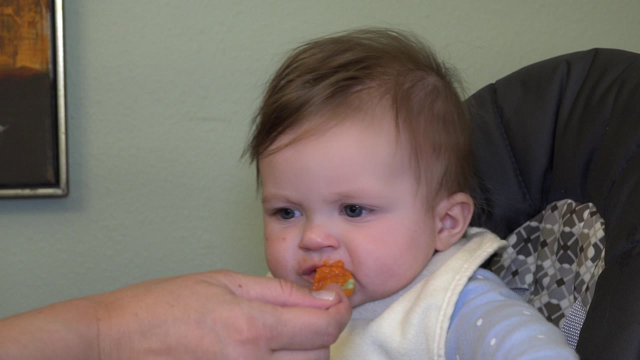 Baby in a high chair bites orange mashed food from an adult's fingers.