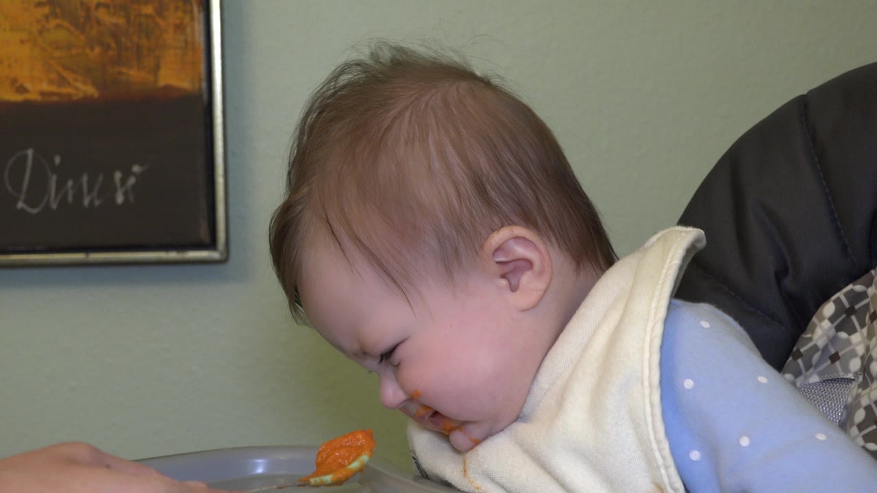 In Westminster, Colorado, a baby in a cream bib leans forward in a chair as an adult hand offers orange puree on a spoon near the lower left.