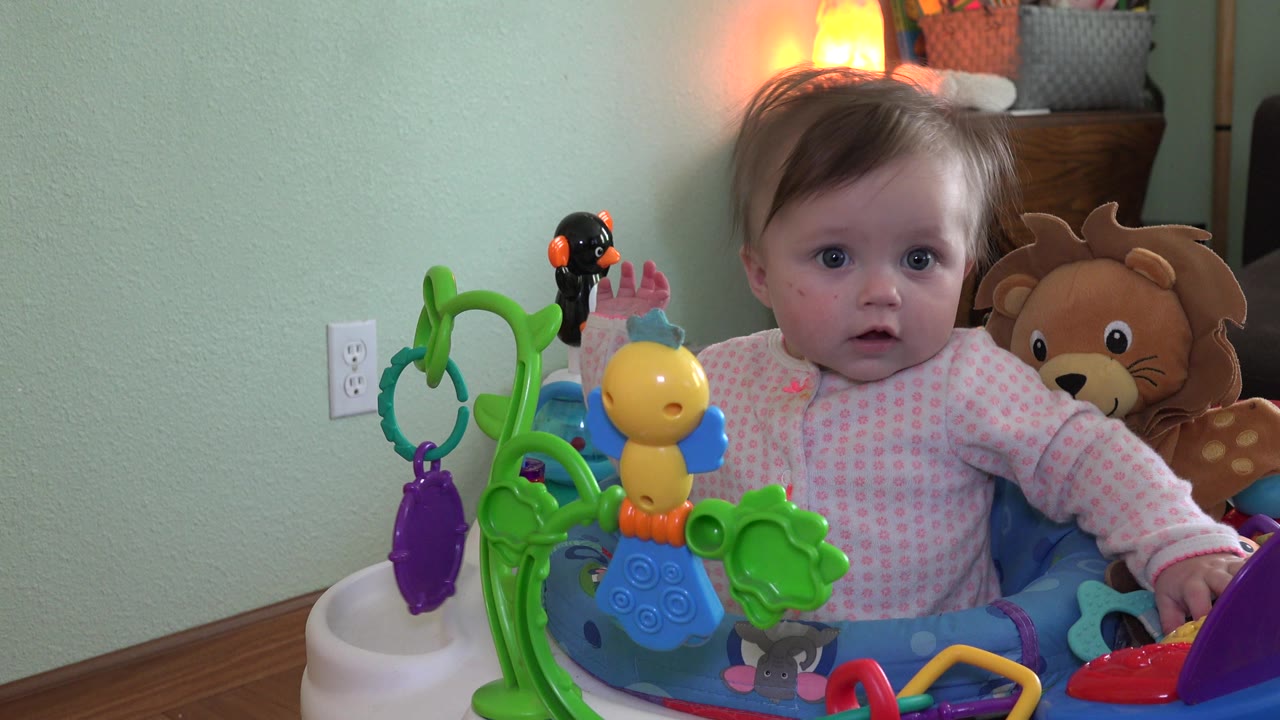 Baby girl in walker looking forward beside toys and plush lion.