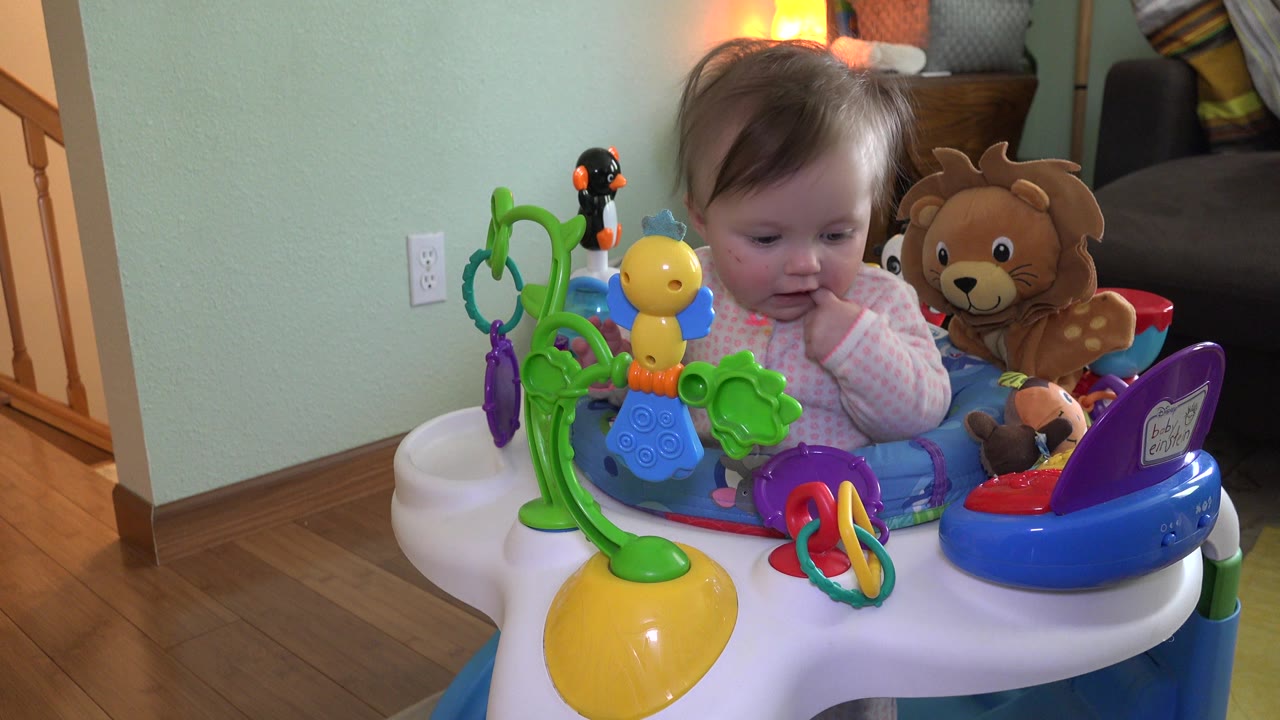 A baby girl in Westminster, Colorado sits in a colorful activity walker with green and yellow toys in front of a mint wall and wood floor.
