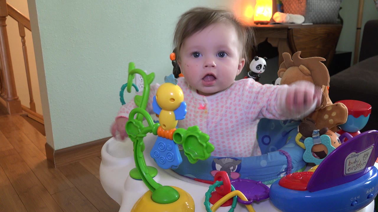 A toddler in Westminster, Colorado lifts one arm from the blue bouncer as colorful toys fill the foreground and stuffed animals sit behind.