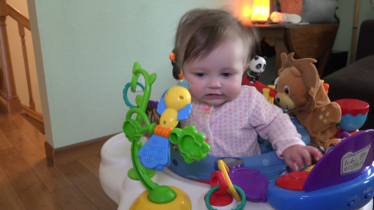 At 0:00, a baby in Westminster, Colorado sits in a blue activity walker with bright toys in front and a plush animal behind her near a pale green wall.