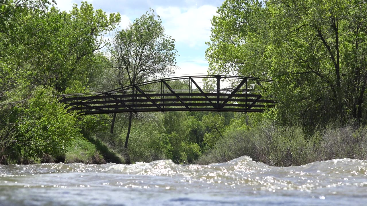 Bridge framed by trees above rough foreground water.
