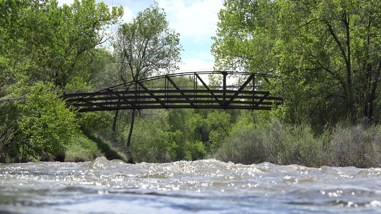 Low view of choppy river water in Westminster, Colorado, with a dark metal bridge spanning the midground and dense green trees behind it, with no visible people in this opening frame.