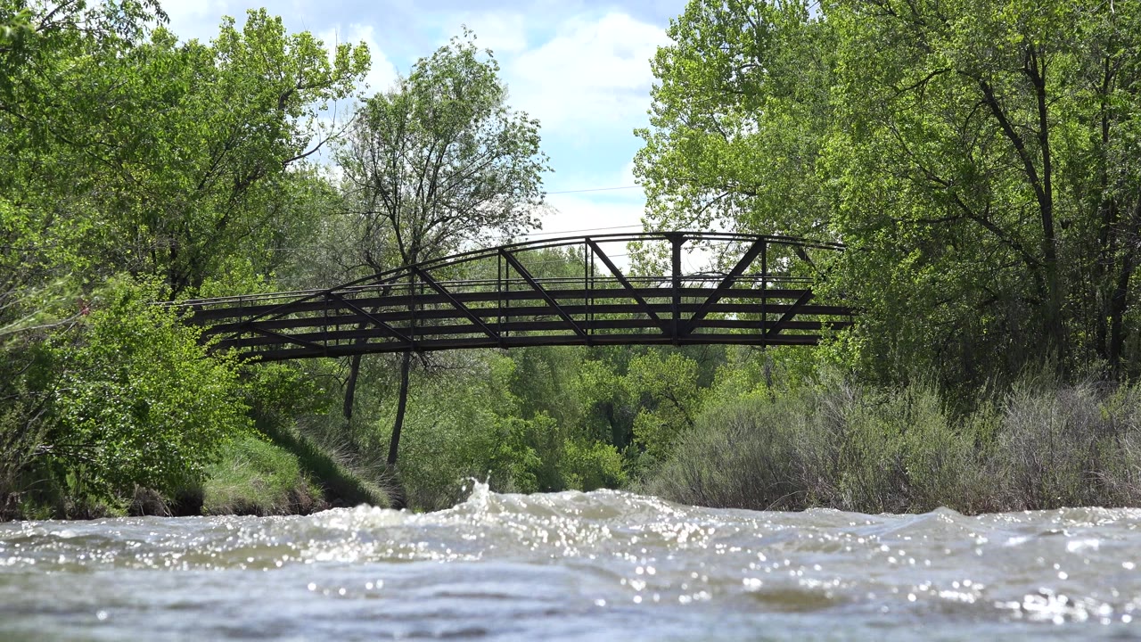Sunlit river rapids with a bridge in a green park setting