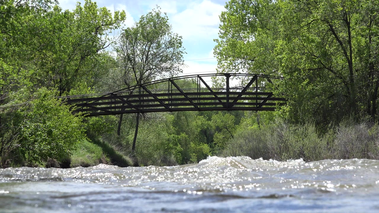 Low view of choppy river water below a dark bridge surrounded by green trees in Westminster, Colorado, with no visible people.