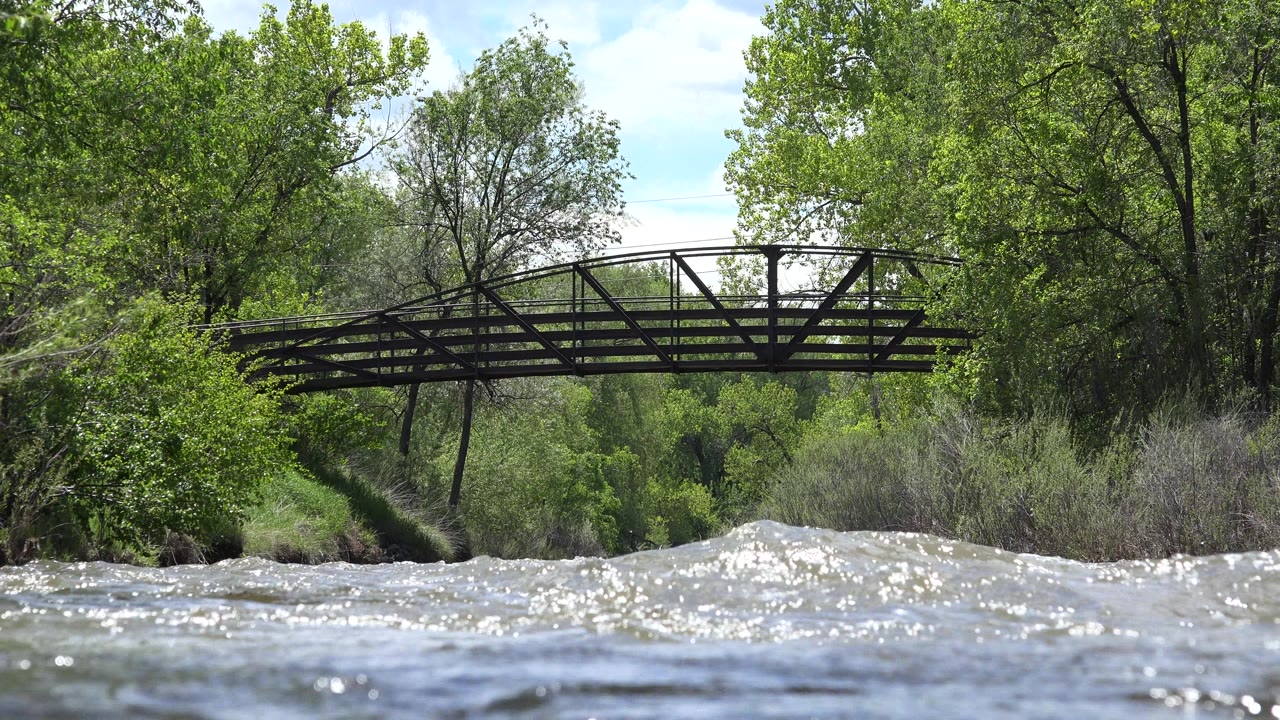 Dark bridge framed by trees over fast moving water.