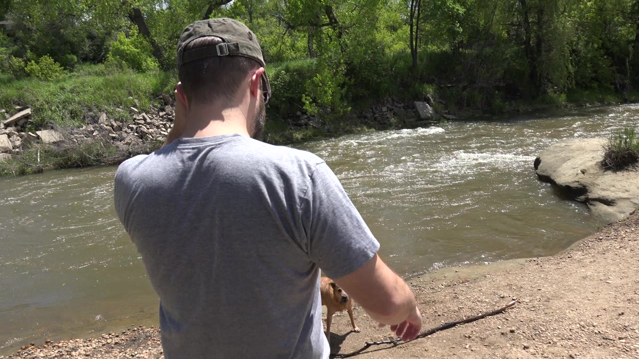 In Westminster, Colorado, a man seen from behind stands close to a brown dog on a dirt bank beside rippling water and green trees.