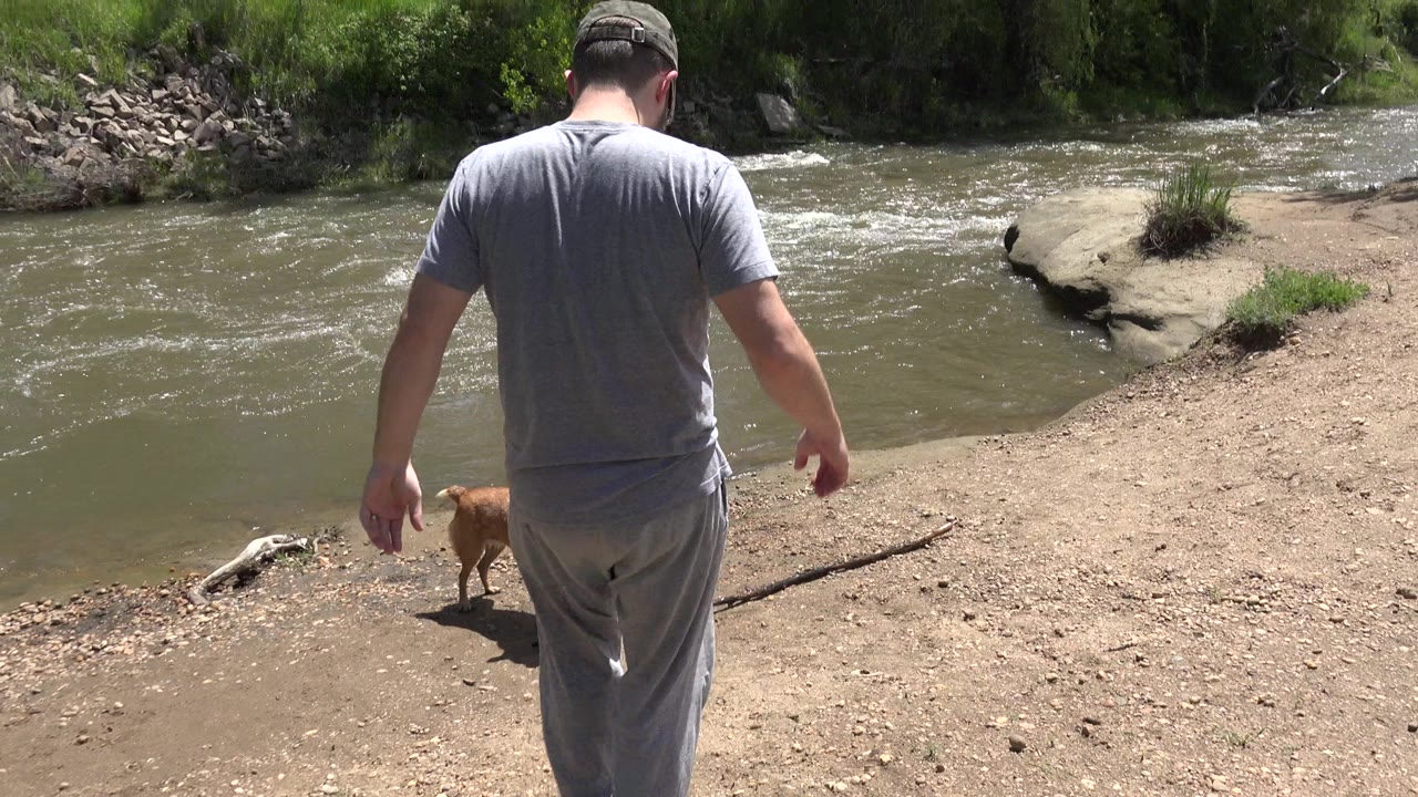 Man and brown dog walking along a sunny dirt bank beside water.