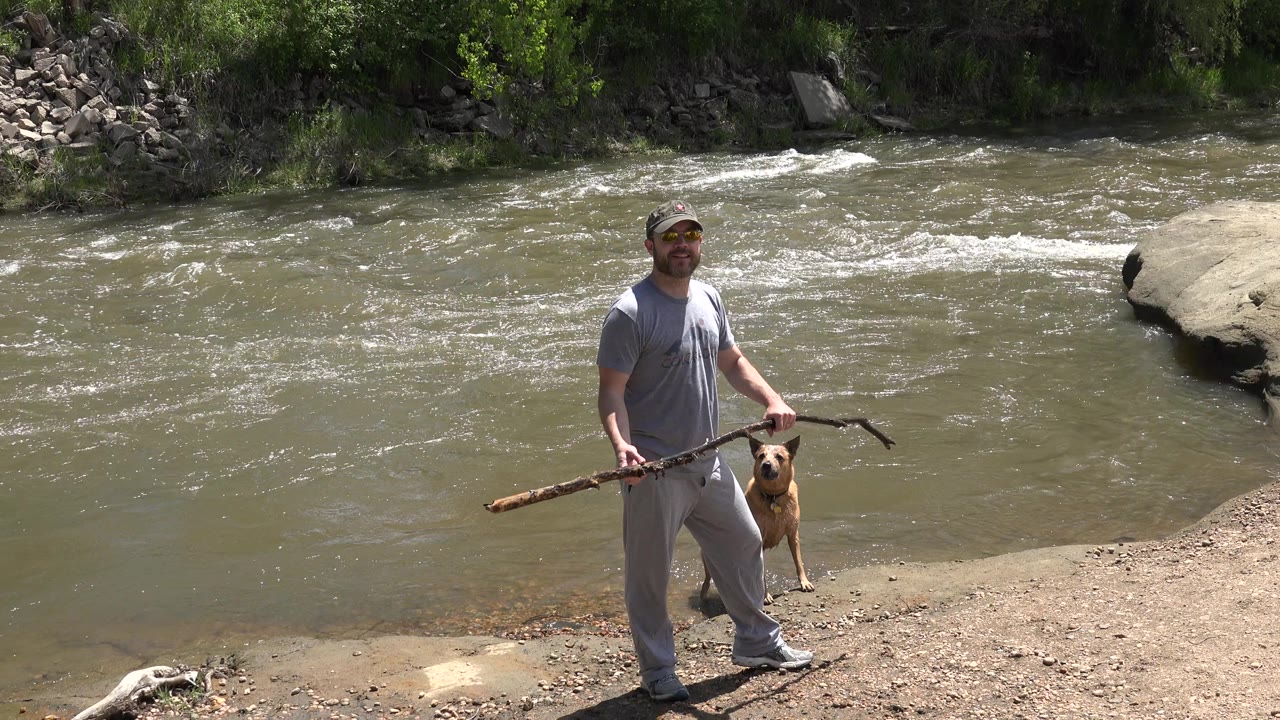 The Westminster riverbank scene holds on the man facing camera with the stick angled across his body and the dog standing close at his side.
