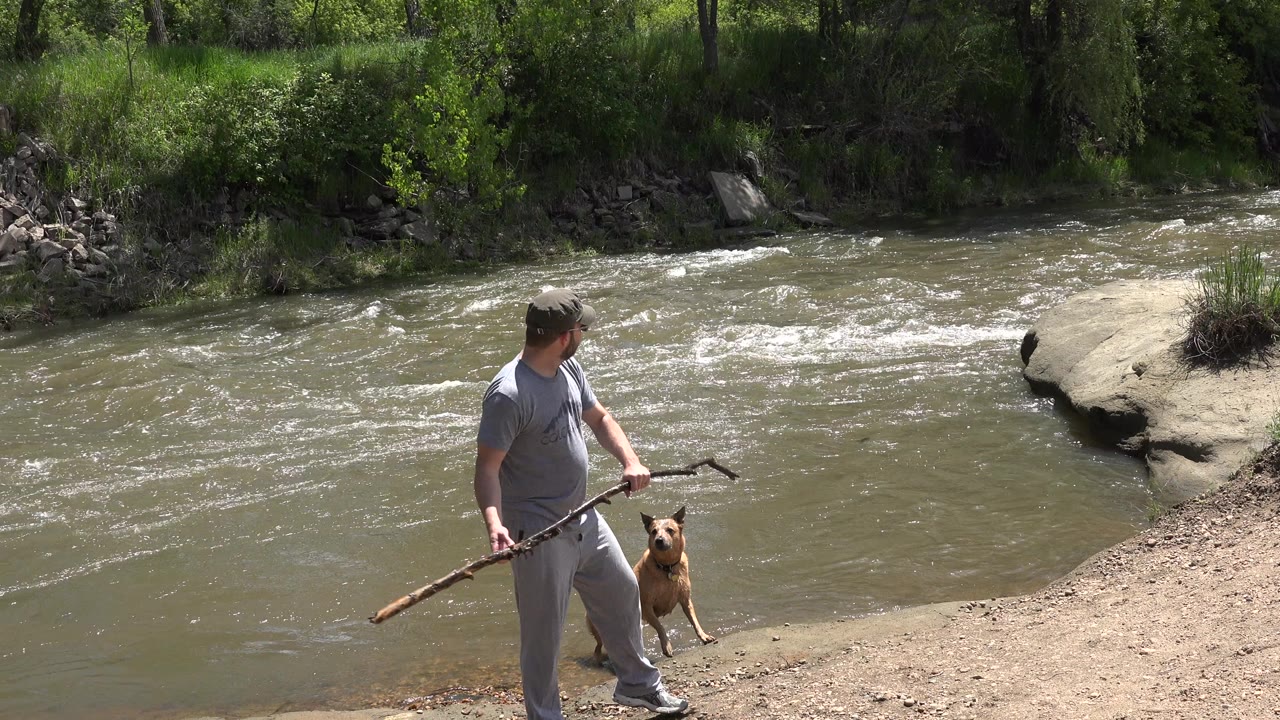 In Westminster, Colorado, a man in gray stands on a dirt riverbank holding a long stick while a small brown dog waits beside him near rippling water.
