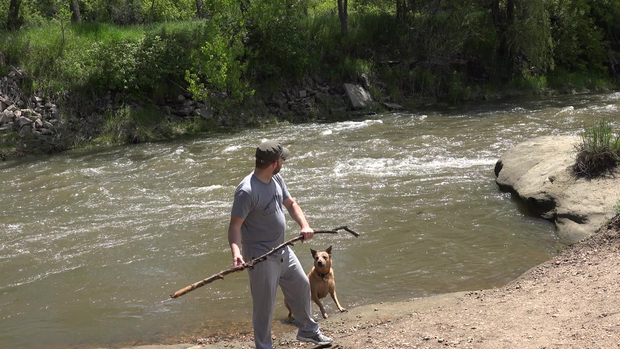 The man faces the water with the long stick lowered in his hands as the small brown dog stands alert on the bank in Westminster, Colorado.