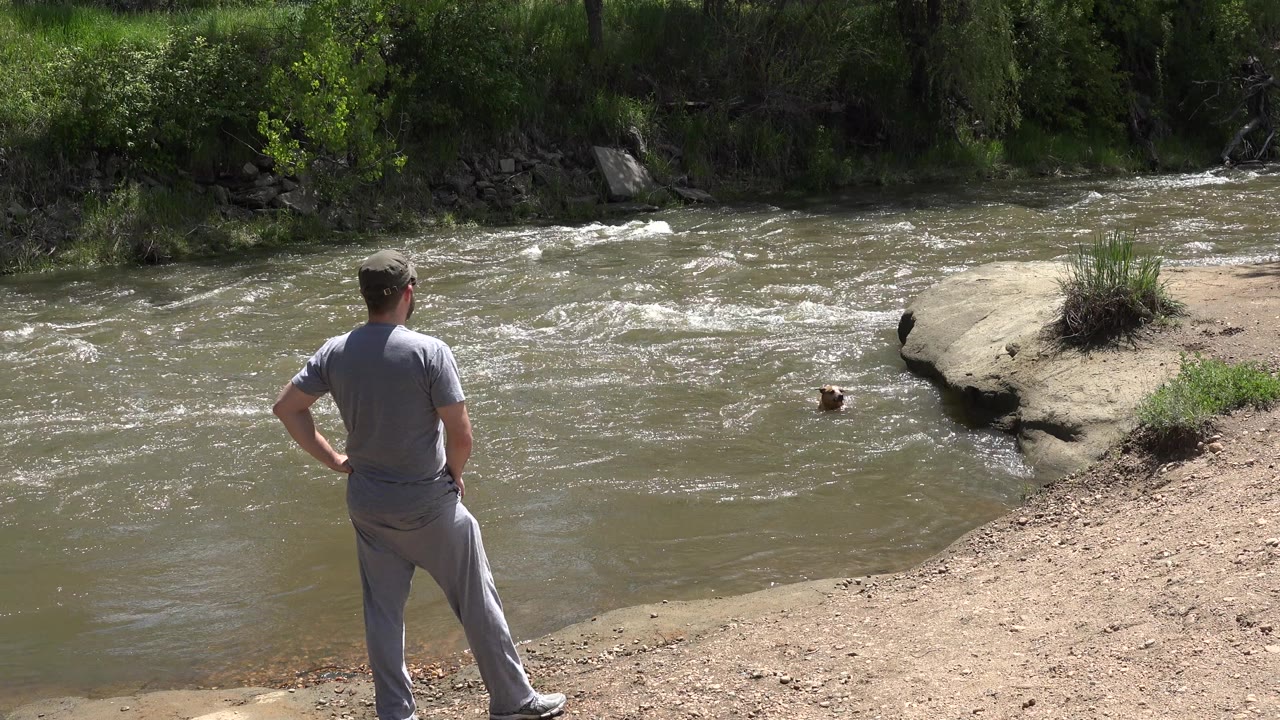 A man in gray clothes stands with his back to camera on a dirt bank beside a fast flowing creek in Westminster, Colorado.