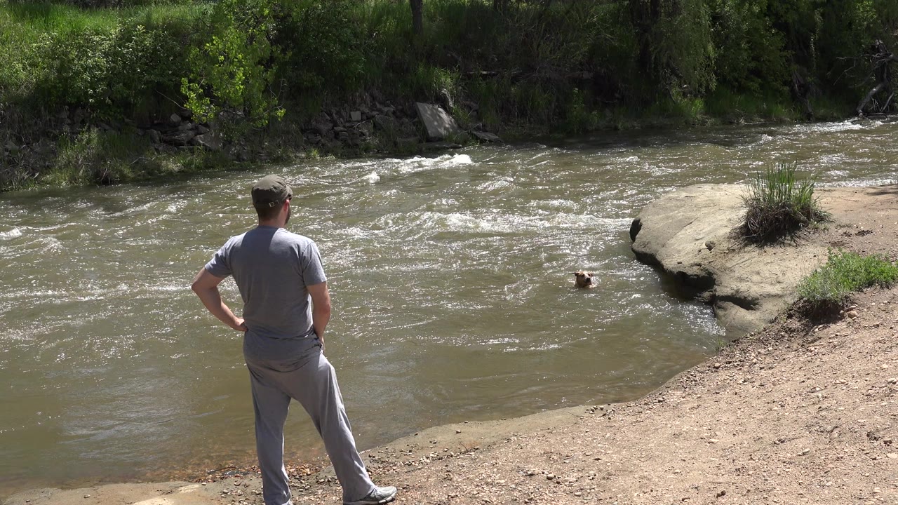 The man remains on the left bank facing the rushing creek, with a pale rock shelf and trees across the water in Westminster, Colorado.