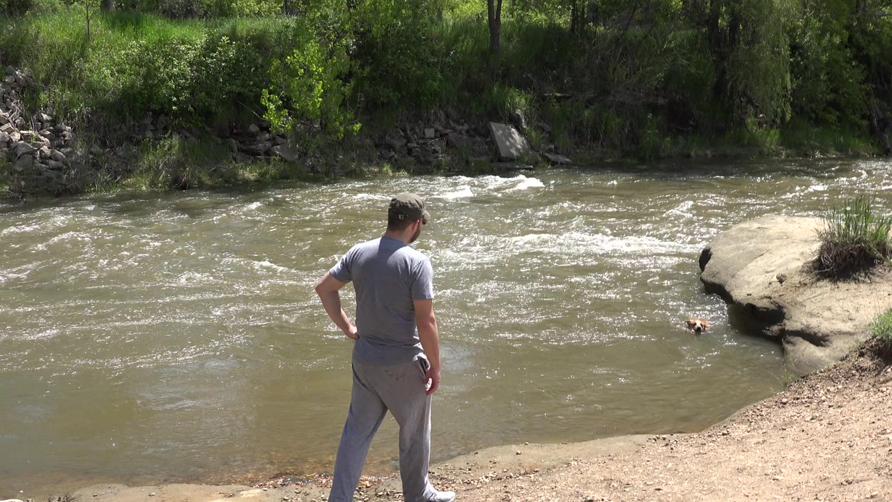 Man stands on a dirt riverbank watching a dog in moving water.