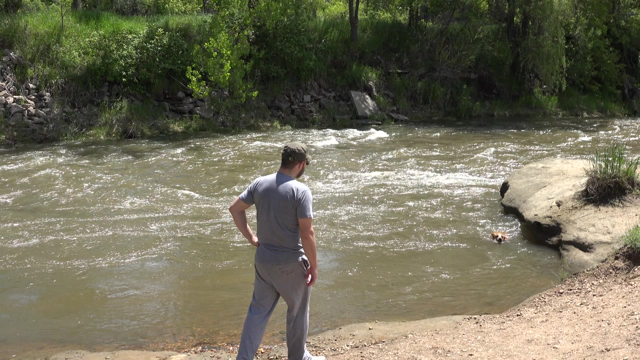 In Westminster, Colorado, the man stands with his back to the camera while choppy water passes across the frame and the dog remains near the right bank below the rock shelf.