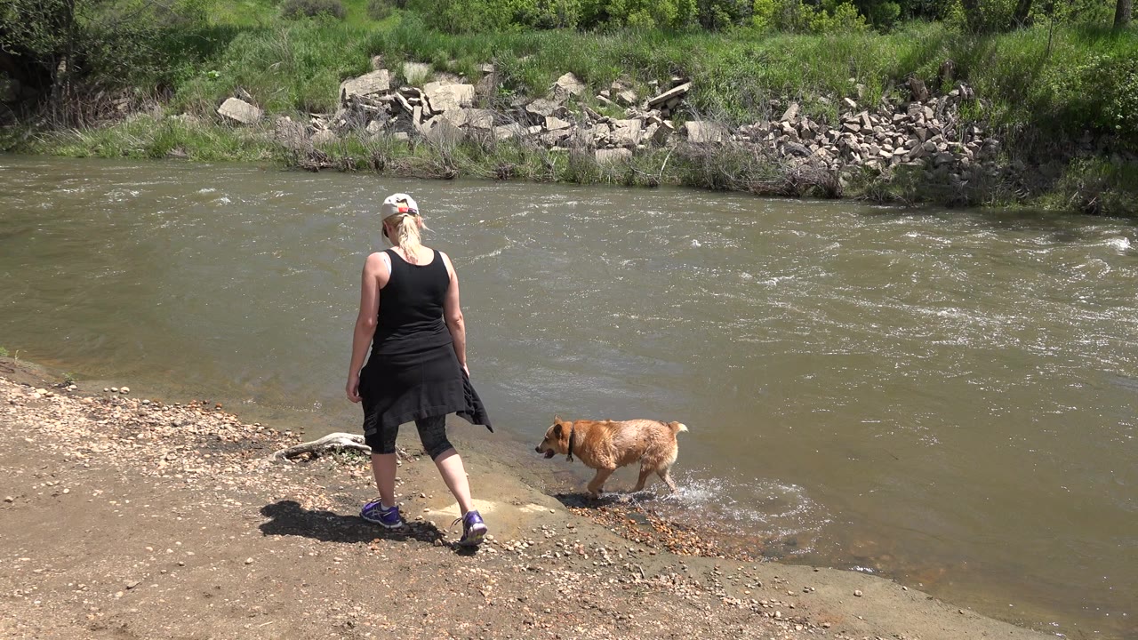 Woman and small brown dog standing near a riverbank