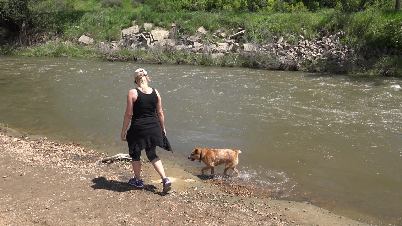 The woman walks down the sloped dirt bank as the small brown dog steps into the shallow river edge, with bright sunlight on the bank and ripples across the water.