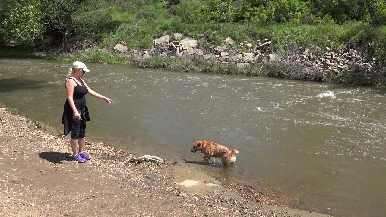 In Westminster, Colorado, the woman remains on the dirt bank with her arm lowered while the brown dog walks near the shallow river water.