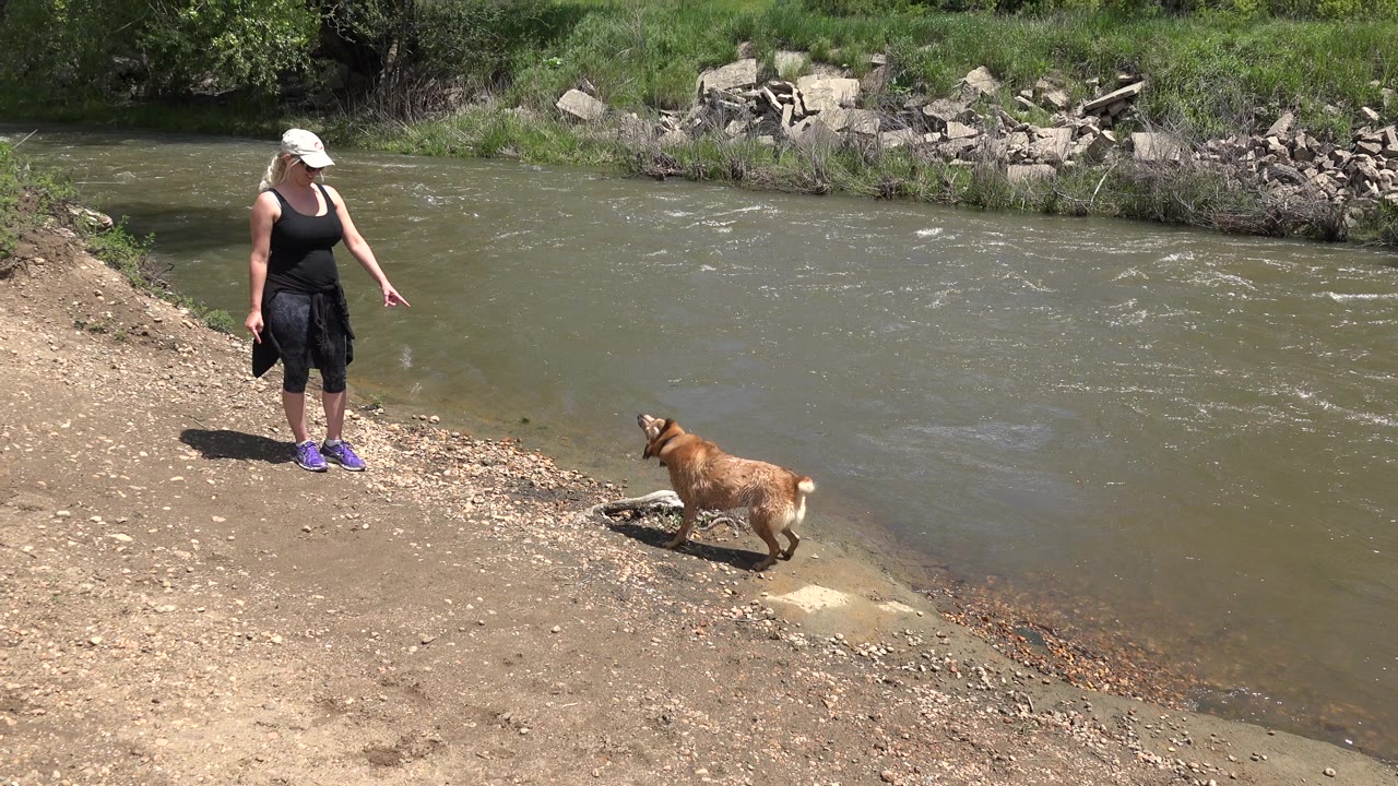 Woman and brown dog on a sunny dirt riverbank.