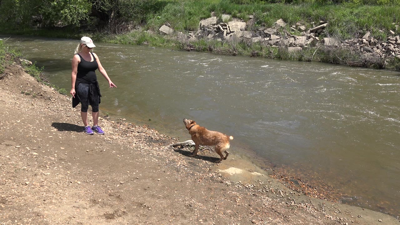 The brown dog moves closer to the river edge in Westminster, Colorado as the adult woman stands several steps behind on the sunlit bank.