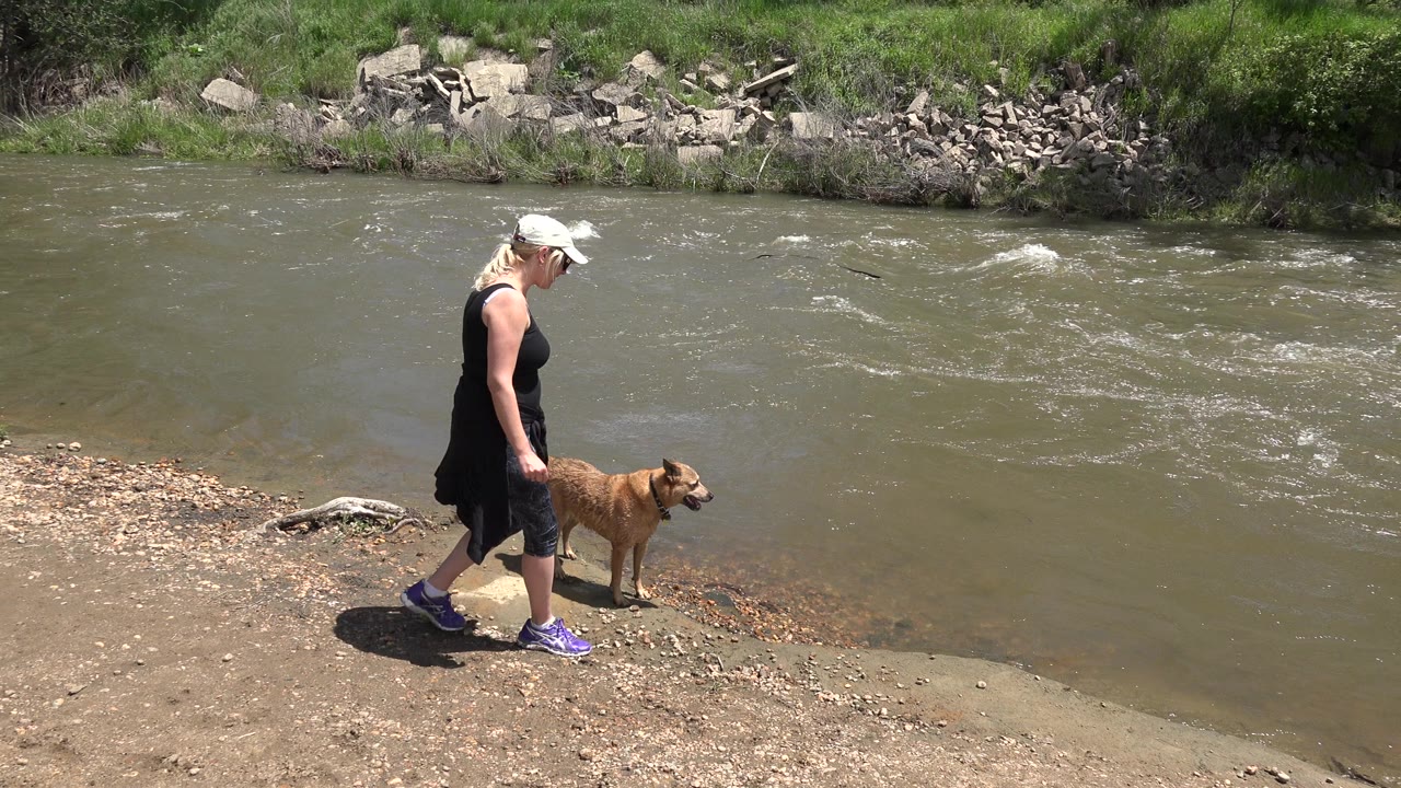 Adult walking a brown dog along a dirt riverbank.