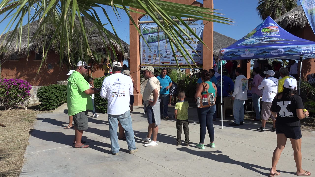 Crowd standing near a blue canopy under palm fronds.