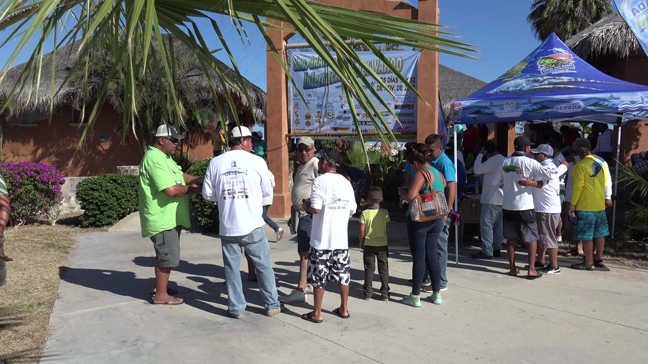 People standing near a blue canopy booth under palm fronds.