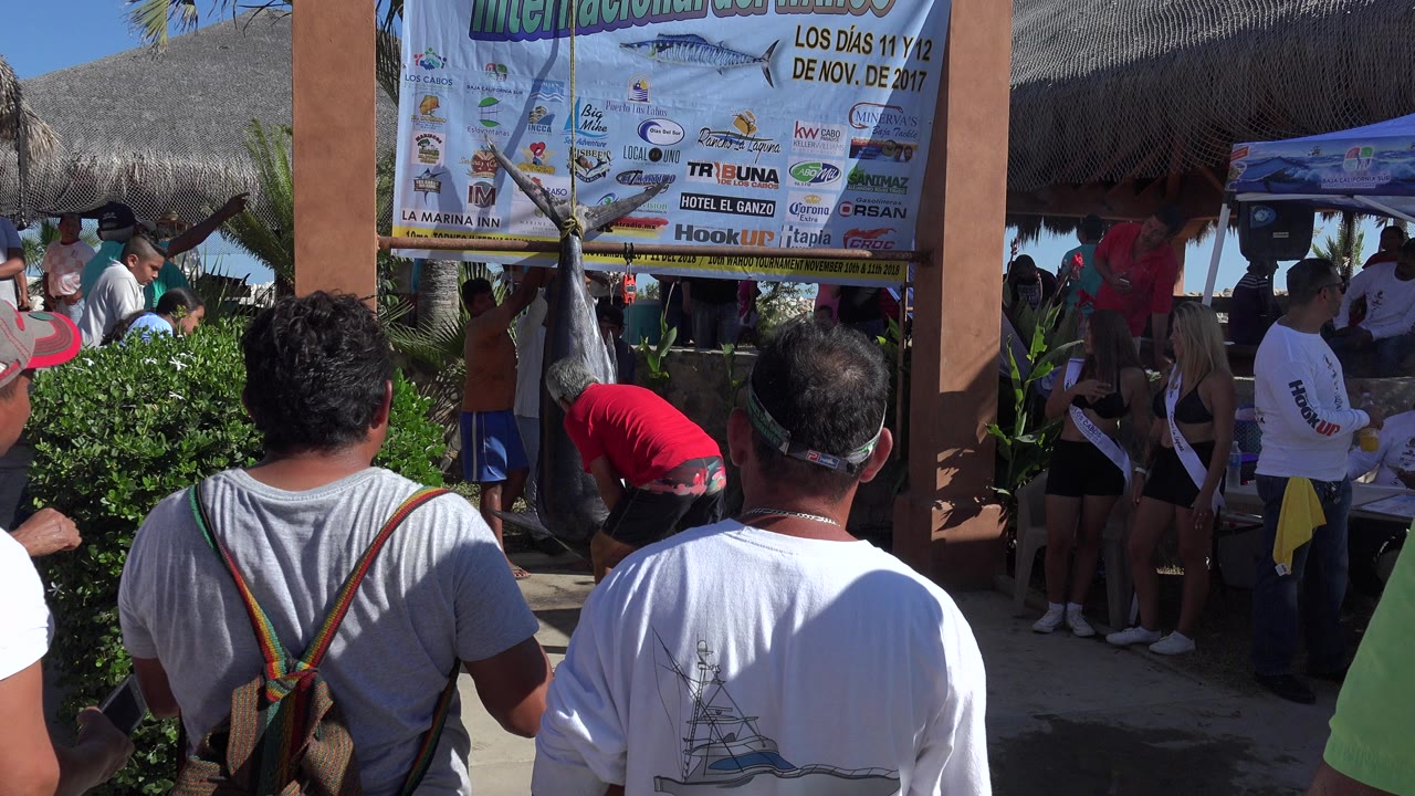 In Playita, Baja California Sur, people stand in bright sun around a large hanging fish beside a printed event banner and thatched-roof structure.