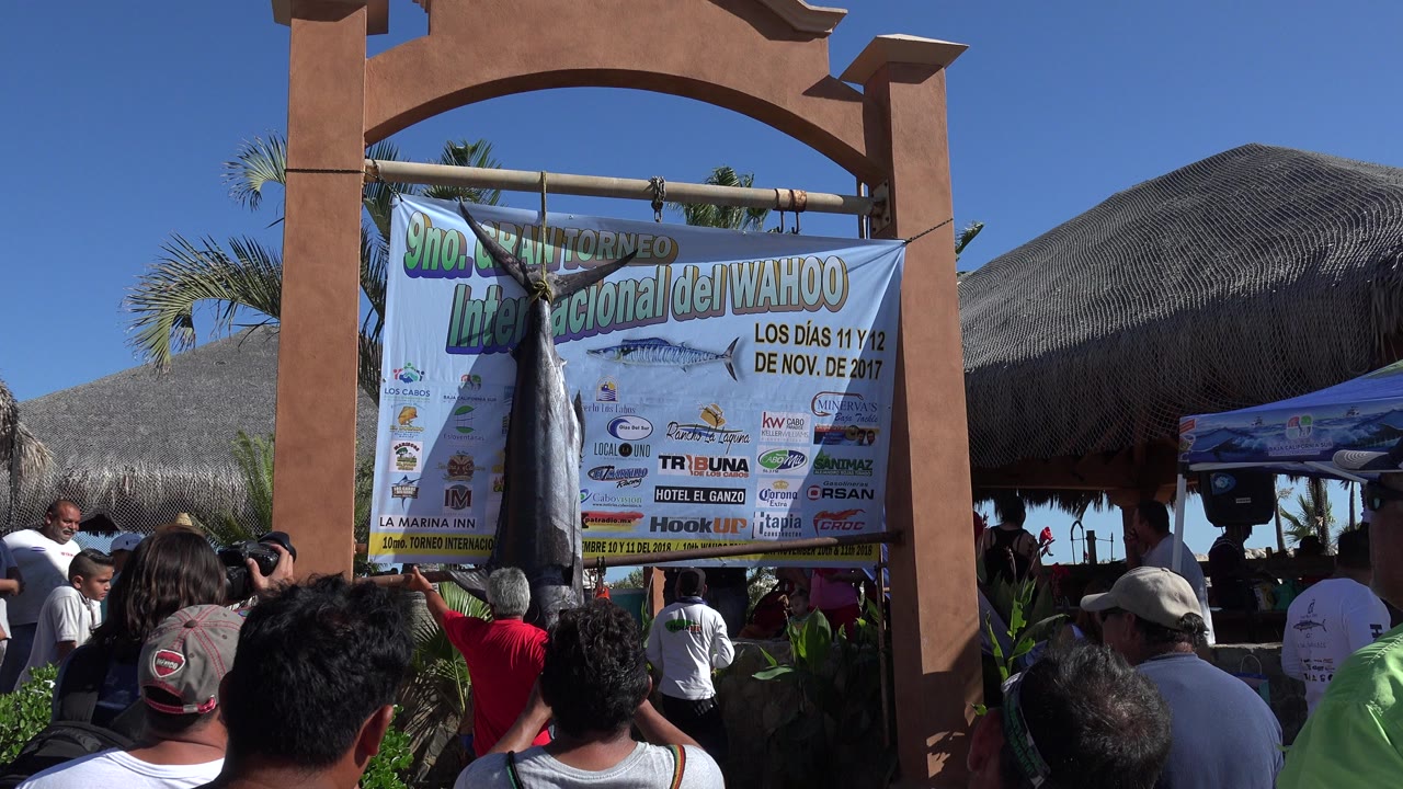 Crowd faces a hanging fish and tournament banner under a tan arch.
