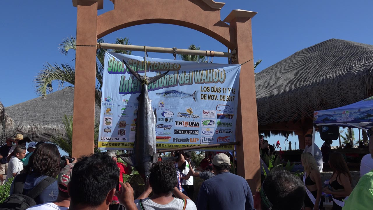 At 0:00 in Playita, Baja California Sur, people stand in bright sun as a large fish hangs before a Spanish tournament banner beside thatched roofs.