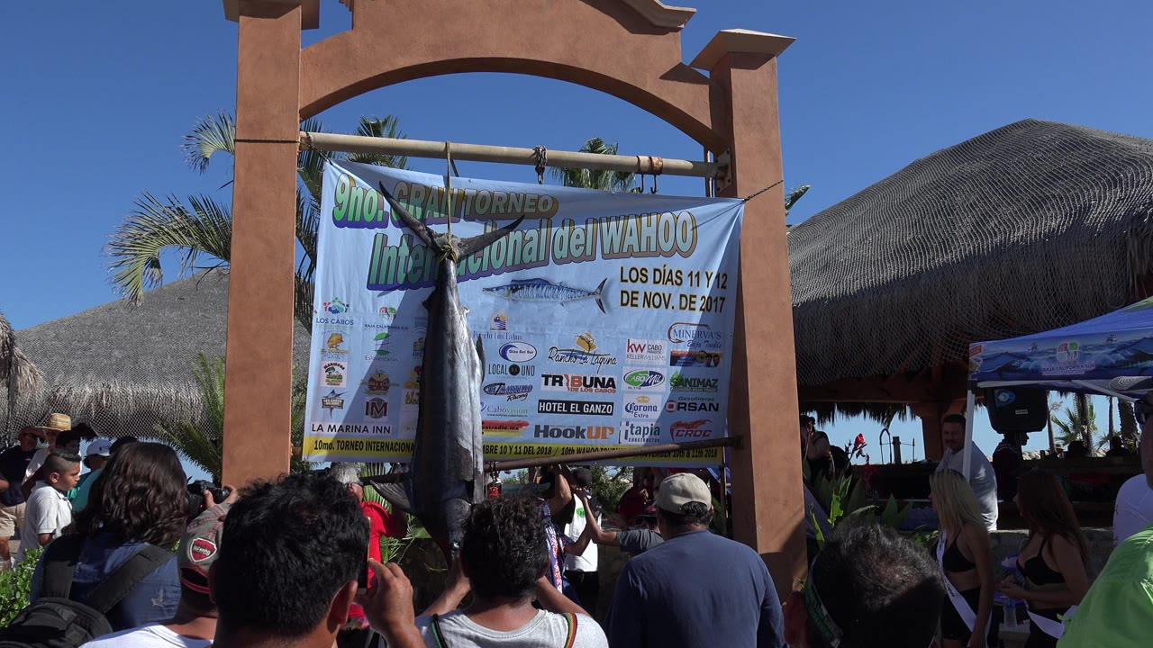 At 0:01 in Playita, Baja California Sur, the fish remains centered under an arch while foreground spectators lift cameras toward the banner.