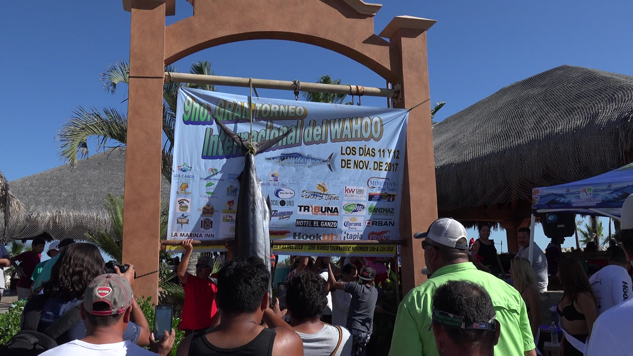 Large silver fish hanging before an event banner in Playita, Baja California Sur, Mexico, with spectators in the foreground and thatched roofs behind.