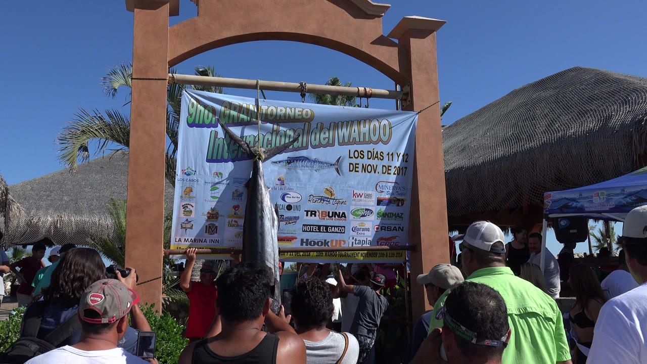 Crowd looking toward a large fish hanging on a banner.