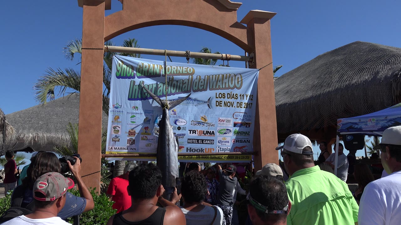 Crowd gathered under a tournament banner with a hanging fish.