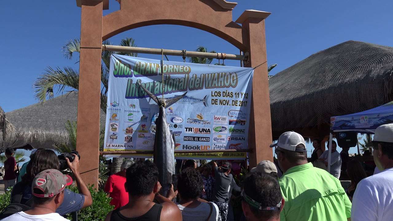 A crowd in Playita, Baja California Sur faces the banner and hanging fish, with a white-shirted man and thatched roof visible on the right.