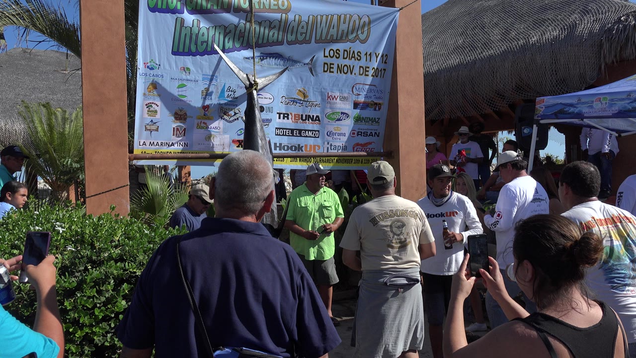 Spectators face a festival banner at an outdoor event.
