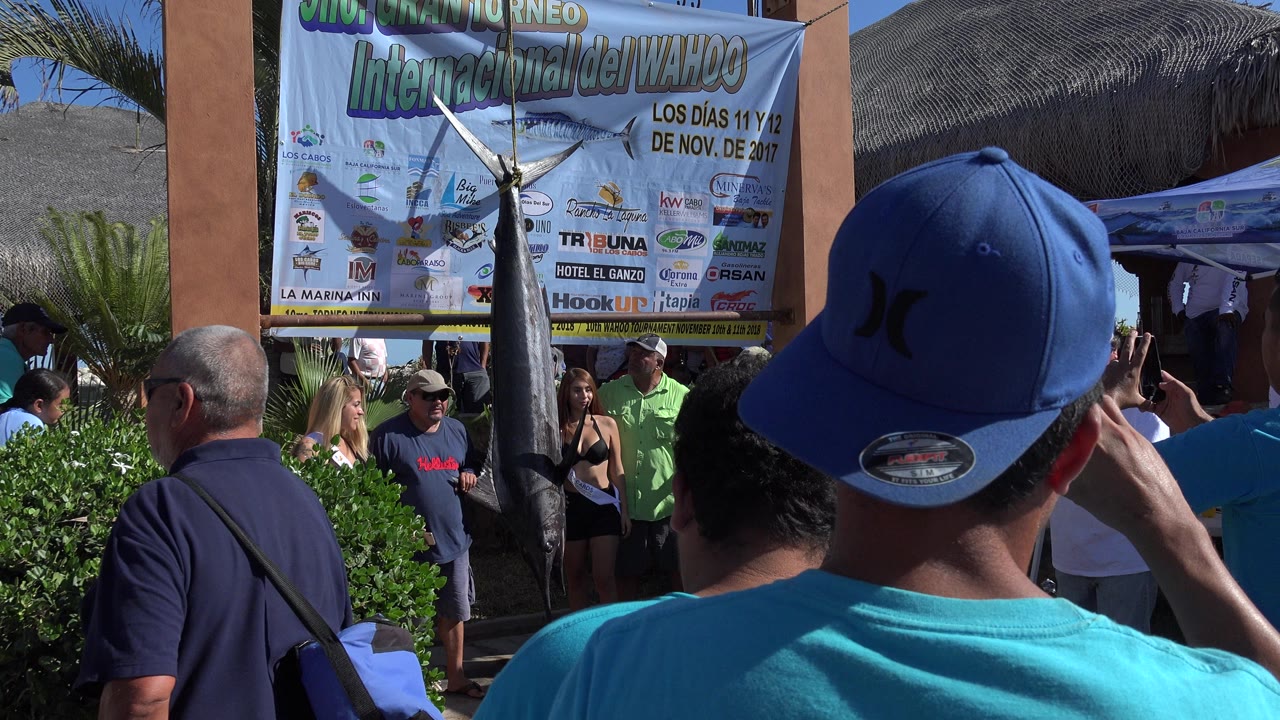 Spectators face a hanging shark beneath a fishing tournament banner.